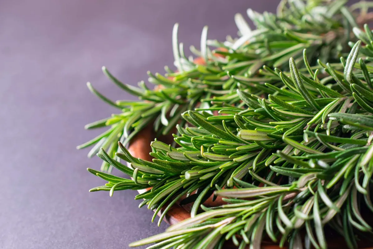 Rozemarijn koken thuis: eenvoudig in de keuken met verrassende werking