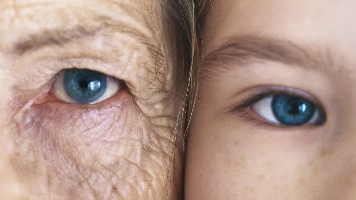 Nieuw bewijs: twee plotse sprongen in moleculaire veroudering